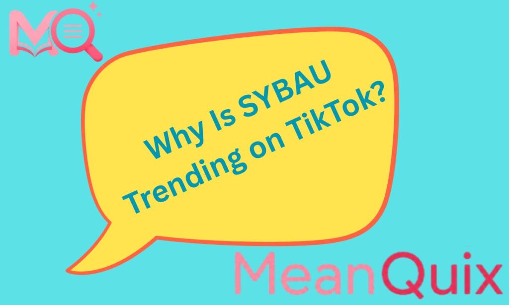 Why Is SYBAU Trending on TikTok