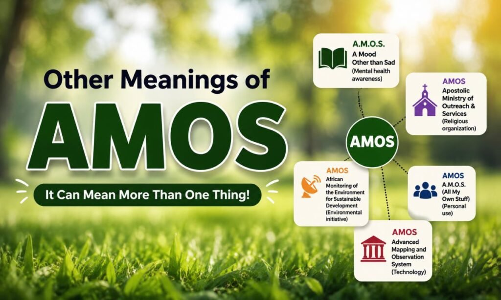 Other Meanings of AMOS